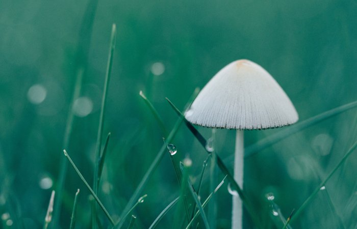 yp街机·电子游戏(中国)官方网站